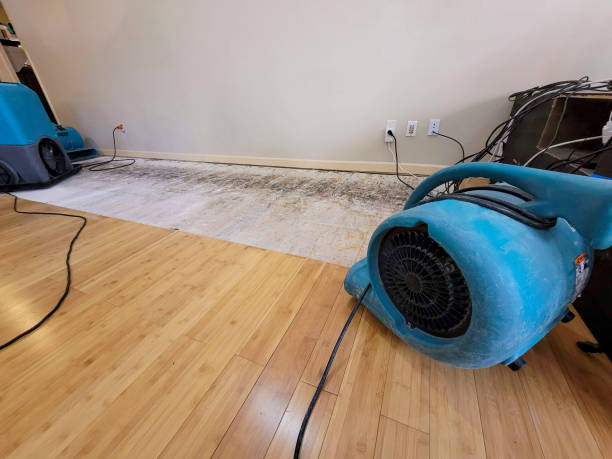 Professional Basement Flood Cleanup technician working in Altamont, NY